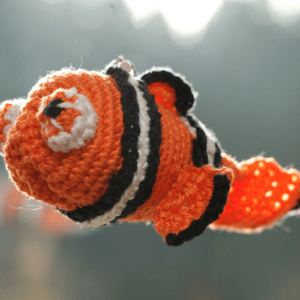 Foto - Neugieriger Clownfish ("Nemo")