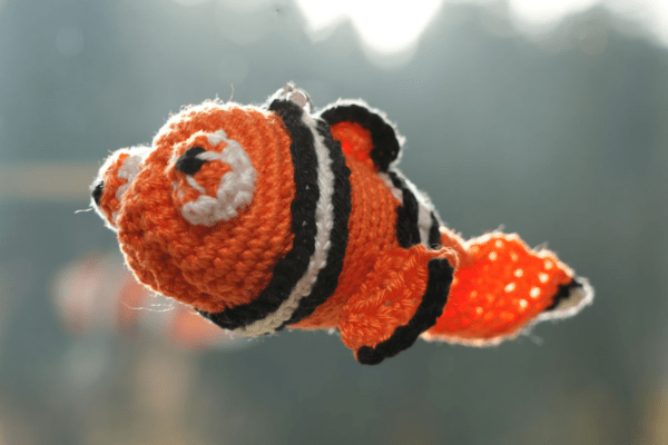 Foto - Neugieriger Clownfish ("Nemo")