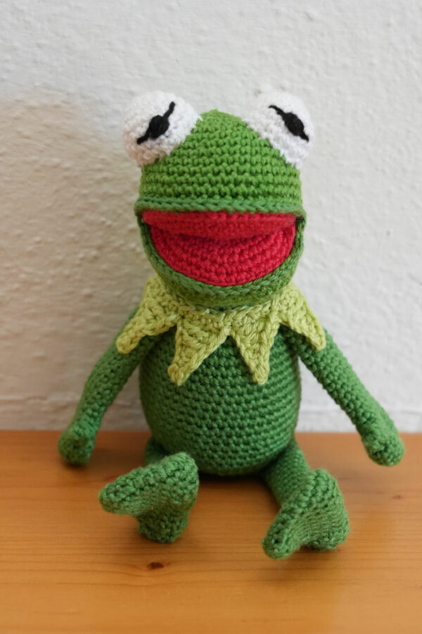 moderierender Frosch